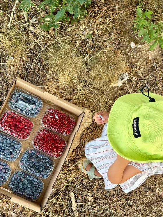Berrygood · frutos del bosque